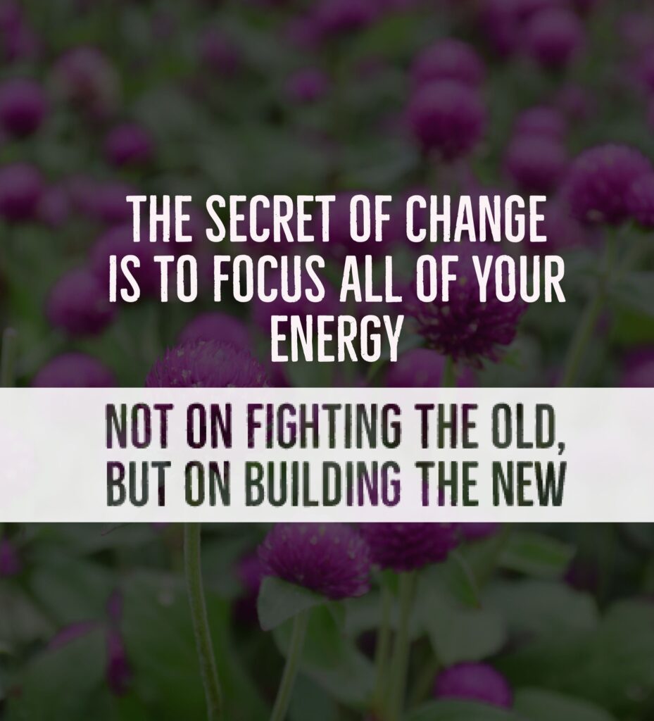 Purple flowers in a field serve as a backdrop for a motivational quote about focusing energy on positive change rather than resisting the past.